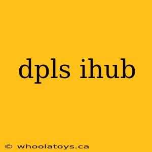 dpls ihub